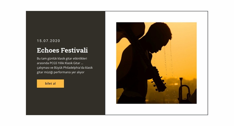 Müzik festivali ve Eğlence Web Sitesi Mockup'ı