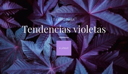 Impresionante Diseño Web Para Color Polarizante