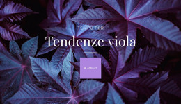 Colore Polarizzante - Modello Gratuito