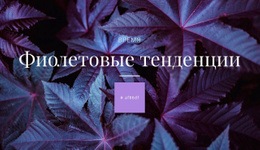 Поляризационный Цвет – Простой В Использовании Шаблон HTML5