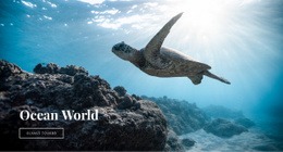 Víz Alatti Óceánvilág Weboldal Tervezés