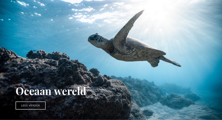 Onderwater oceaanwereld HTML5-sjabloon