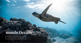 Mundo Subaquático Do Oceano - Melhor Tema WordPress