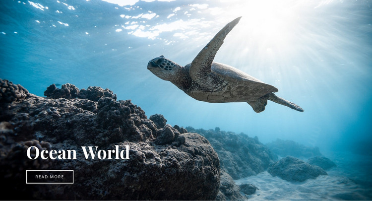 Underwater ocean world WordPress Website Builder