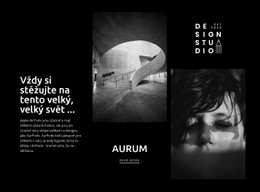 Moderní Umění Aurum – Profesionální Šablona Webu