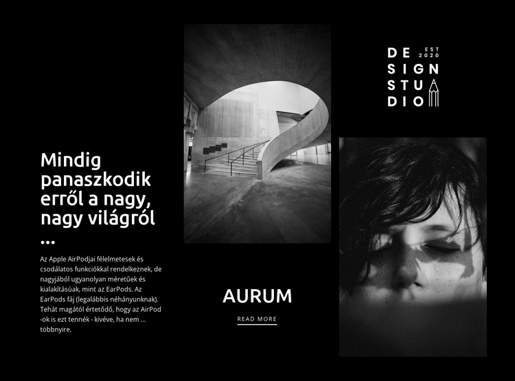 Modern művészeti aurum WordPress Téma