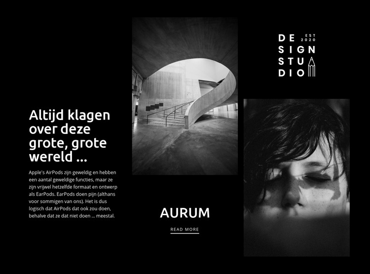 Moderne kunst aurum Website ontwerp