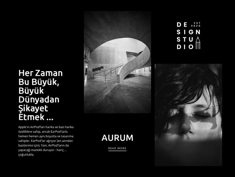 Modern sanat aurum Web sitesi tasarımı