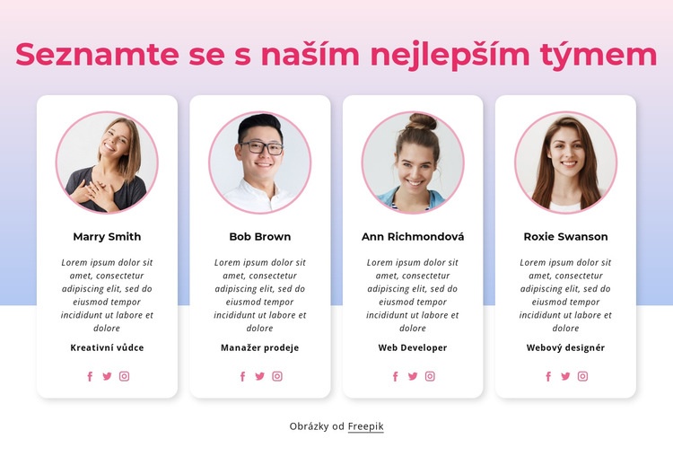 Seznamte se s naším týmovým blokem Šablona CSS