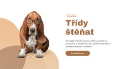 Šablona CSS Pro Efektivní A Snadný Výcvik Štěněte