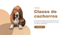 Entrenamiento De Cachorros Eficaz Y Fácil - HTML File Creator