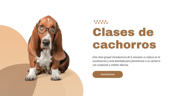 Entrenamiento de cachorros eficaz y fácil Creador de sitios web HTML
