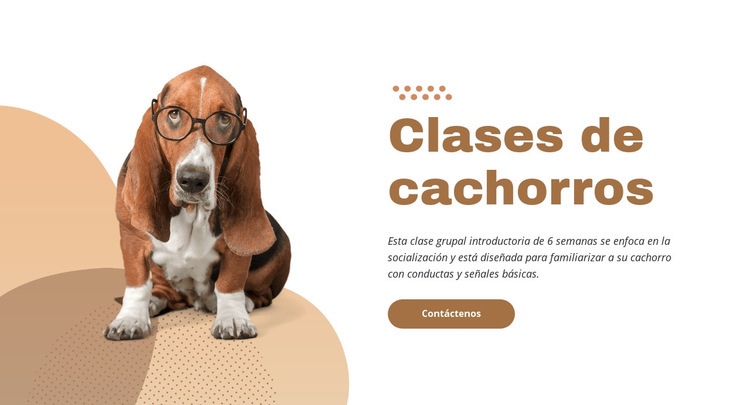Entrenamiento de cachorros eficaz y fácil Plantilla HTML5