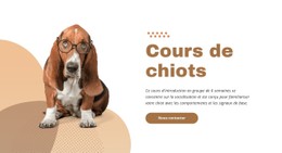 Formation De Chiots Efficace Et Facile Modèle De Site Web CSS