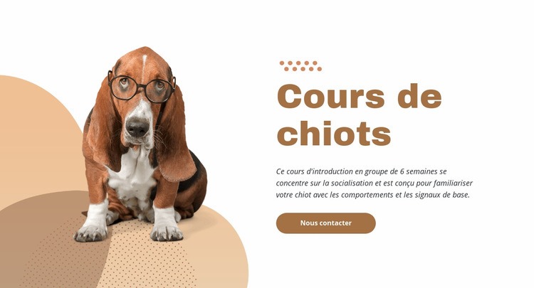 Formation de chiots efficace et facile Modèle HTML5