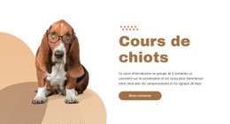 Formation De Chiots Efficace Et Facile - Glisser-Déposer Un Modèle De Page