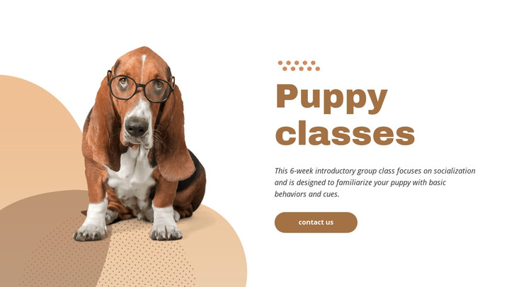 Effective and easy puppy training Homepage Design