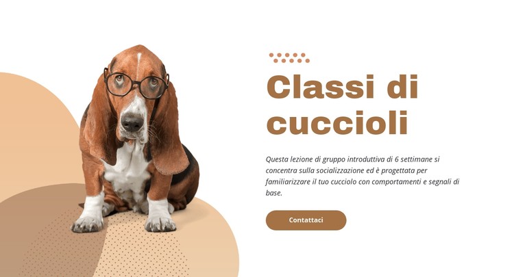 Addestramento del cucciolo efficace e facile Modello CSS