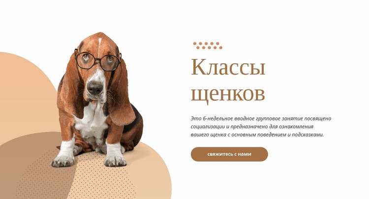 Эффективная и легкая дрессировка щенка Мокап веб-сайта