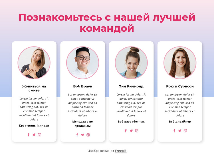 Познакомьтесь с нашим командным блоком WordPress тема