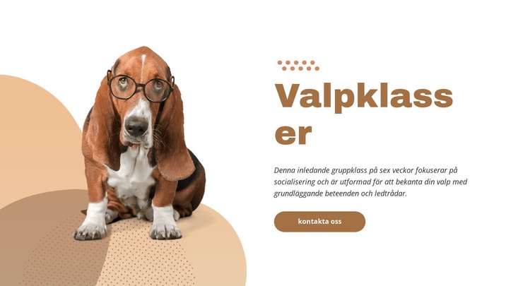 Effektiv och enkel valpträning CSS -mall