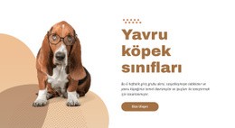 Etkili Ve Kolay Köpek Eğitimi - Güzel Açılış Sayfası