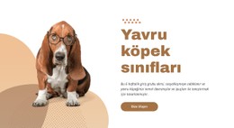 Etkili Ve Kolay Köpek Eğitimi CSS Web Sitesi Şablonu