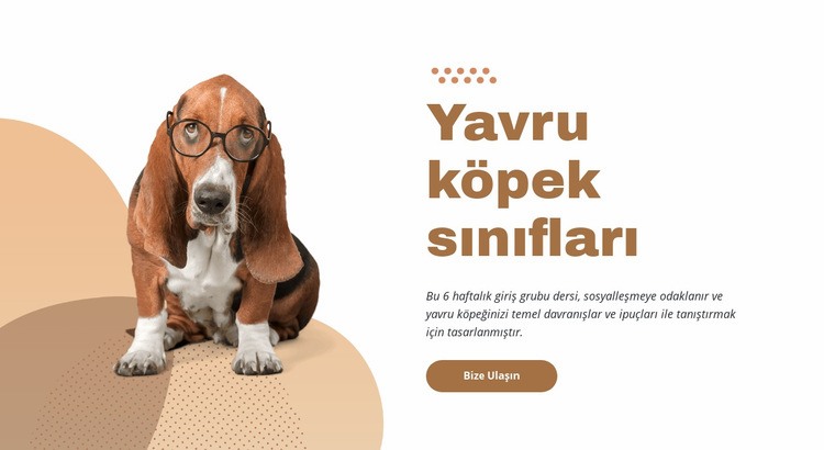 Etkili ve kolay köpek eğitimi Bir Sayfa Şablonu