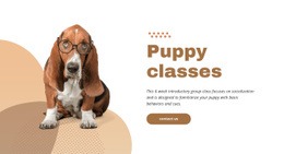 Effective And Easy Puppy Training