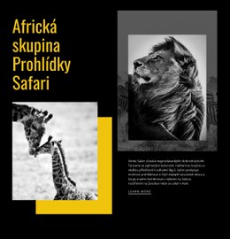 Cestujte Na Safari Šablona Webové Stránky