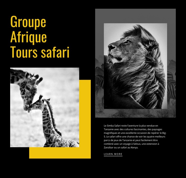 Voyages safari Modèles de constructeur de sites Web