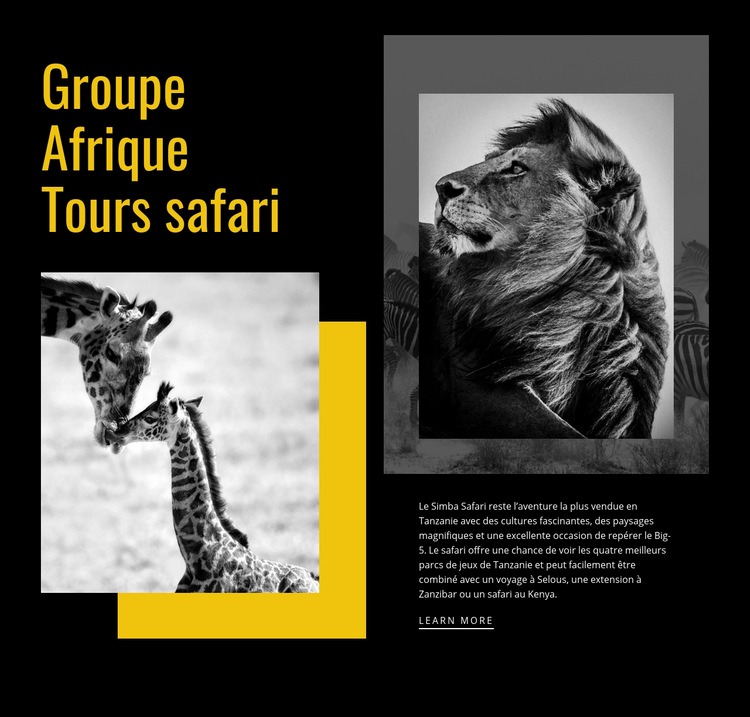Voyages safari Maquette de site Web