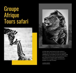 HTML Réactif Pour Voyages Safari