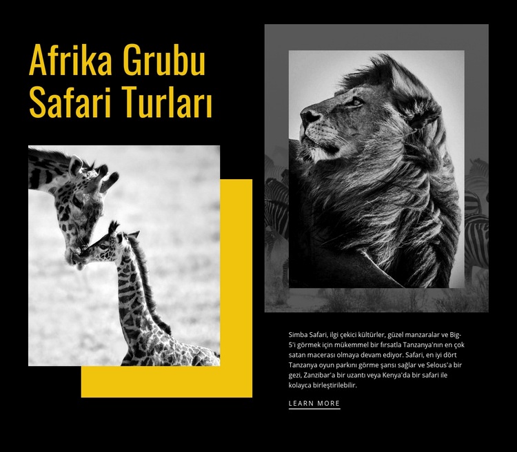 Seyahat safari turları Açılış sayfası