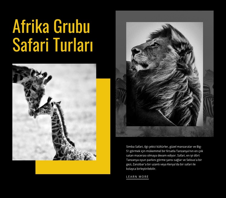 Seyahat safari turları Bir Sayfa Şablonu