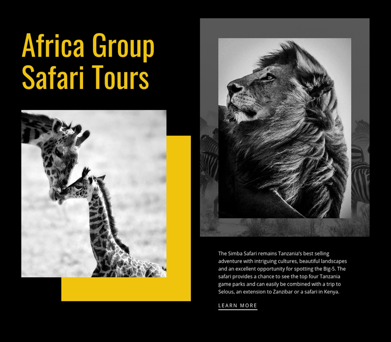 Travel safari tours Web Page Design