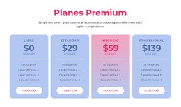 Planes De Hosting Premium