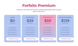 Forfaits D'Hébergement Premium - Conception De Site Moderne