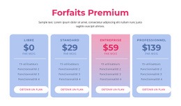 Forfaits D'Hébergement Premium - Créateur De Sites Web