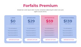Forfaits D'Hébergement Premium Modèle De Site Web CSS Gratuit