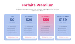 Forfaits D'Hébergement Premium – Page De Destination HTML