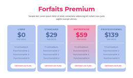 Superbe Thème WordPress Pour Forfaits D'Hébergement Premium