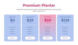Premium Barındırma Planları Ücretsiz CSS Web Sitesi Şablonu