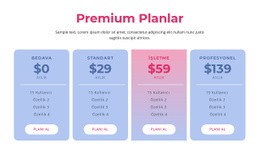 Premium Barındırma Planları - Basit HTML5 Şablonu