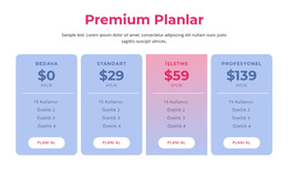 Premium Barındırma Planları Için Web Sitesi Düzeni