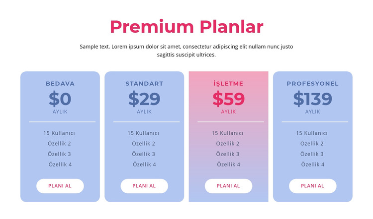 Premium barındırma planları Web Sitesi Şablonu
