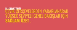 Sağlanacak Çerçeveler #Website-Design-Tr-Seo-One-Item-Suffix