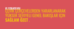 Sağlanacak Çerçeveler #Wordpress-Themes-Tr-Seo-One-Item-Suffix