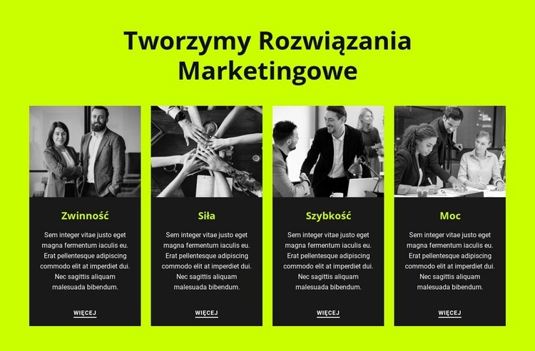 Firma dostarcza analizy ekonomiczne, finansowe i strategiczne Projekt strony internetowej