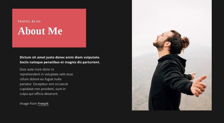 Travel blogger Elementor Template Alternative